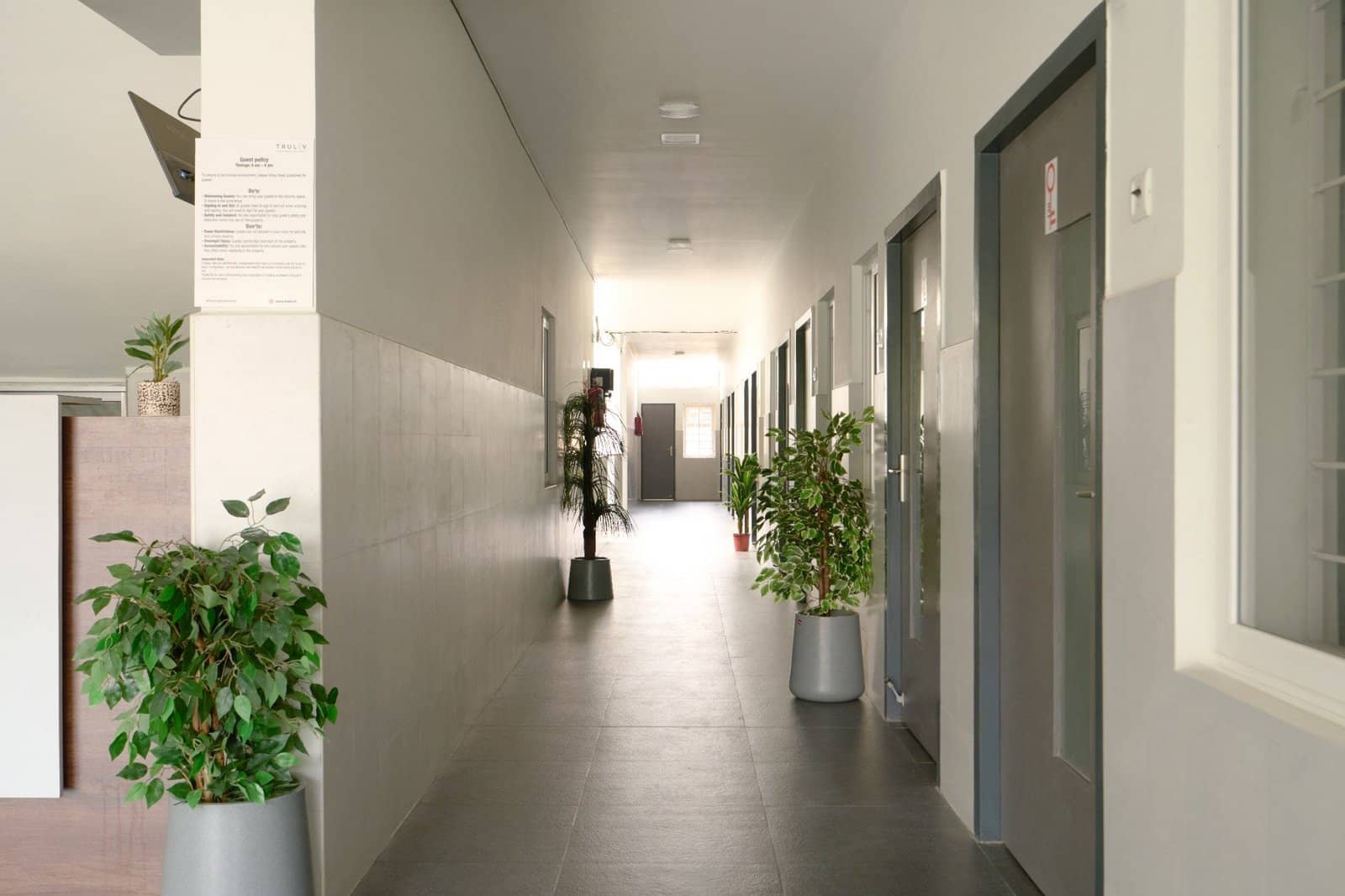 Truliv Atlas, photo 5