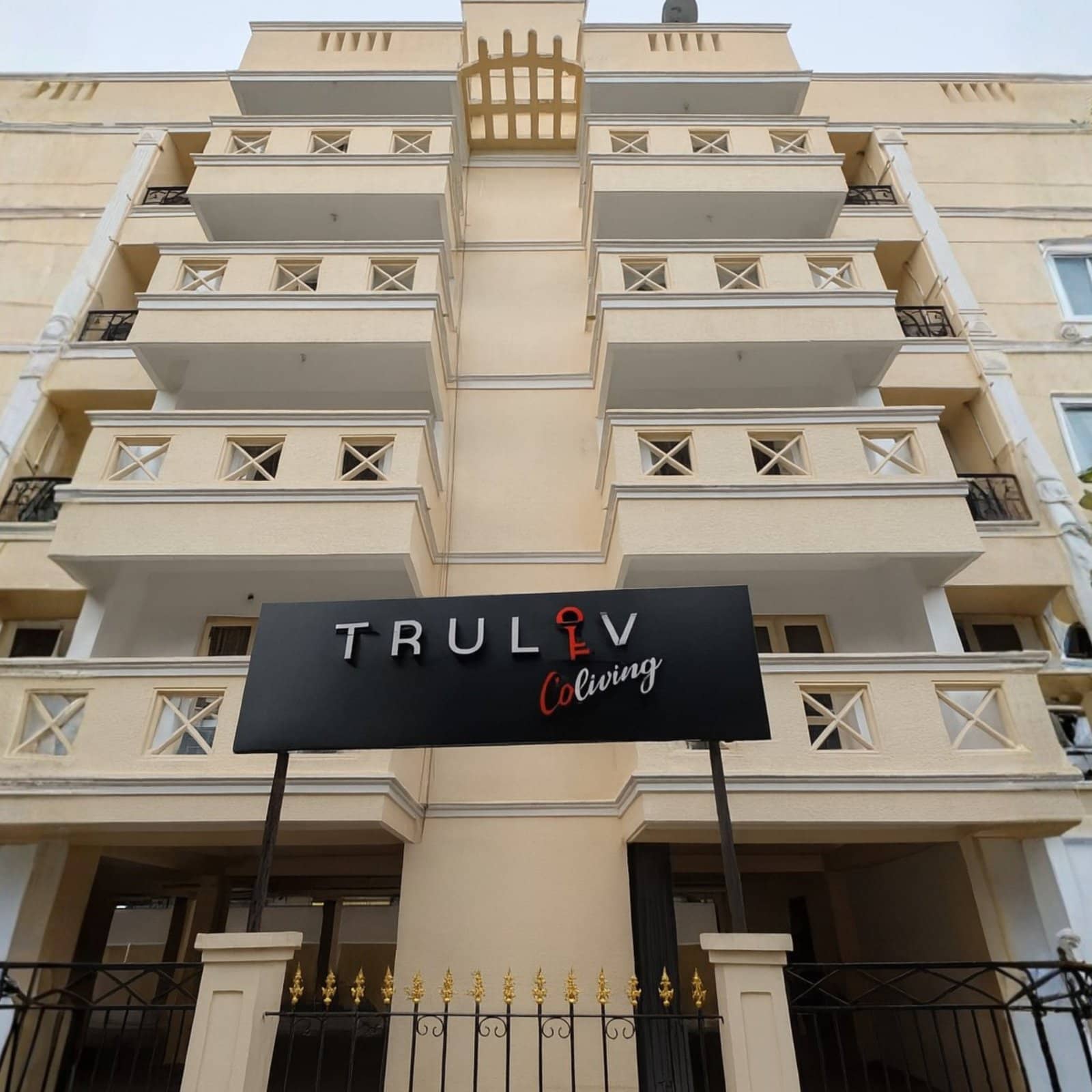 Truliv Aura, photo 3